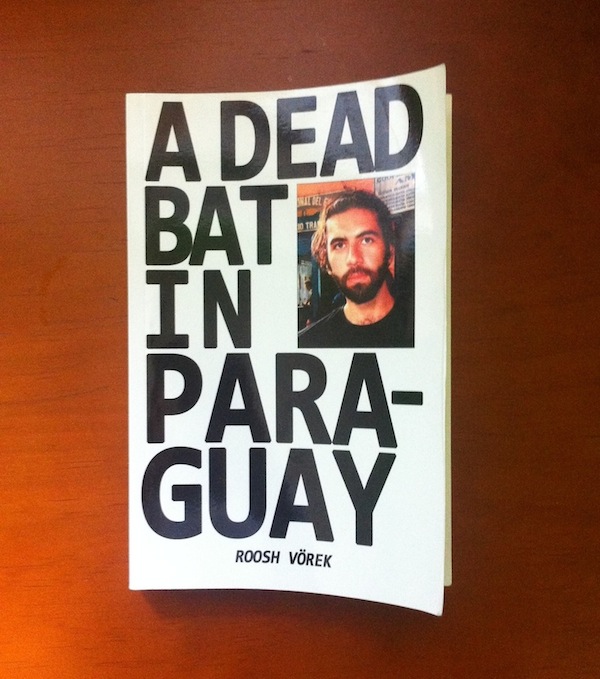 roosh-v-a-dead-bat-in-paraguay