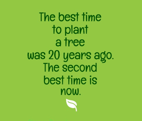 Inspirational quote about the best time to plant a tree