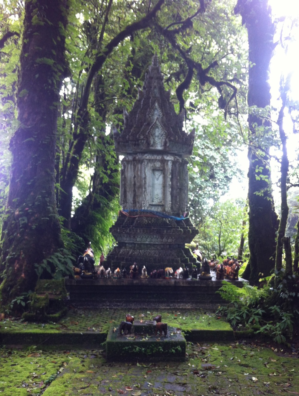 Shrine in the forest in Doi Inthanon national park in Thailand