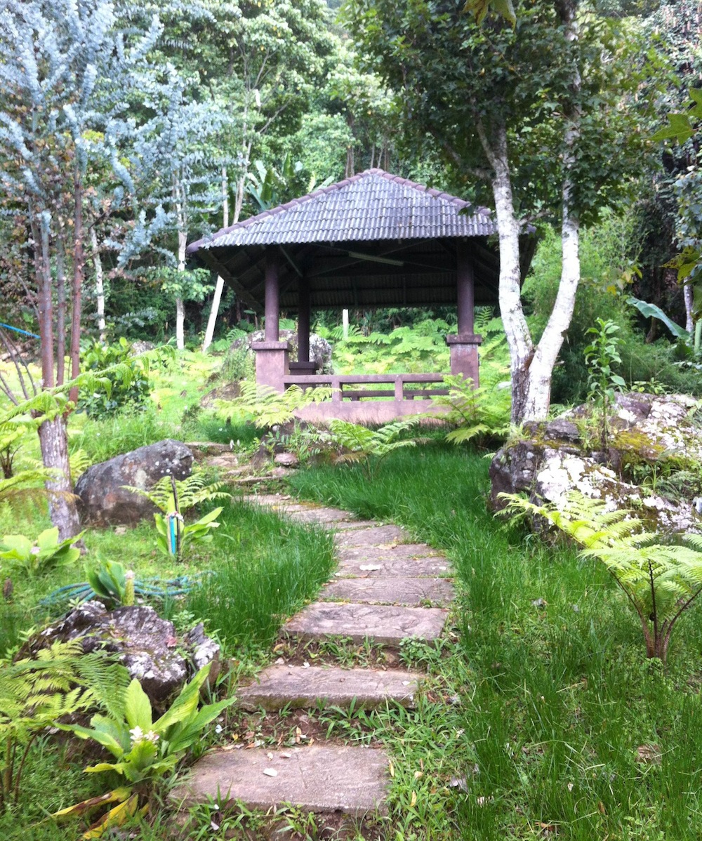 Hut where my friend and I meditated in the gardens at Doi Inthanon national park in Thailand