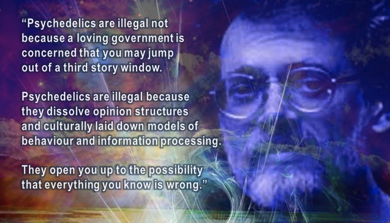 Terrence McKenna psychedelics quote