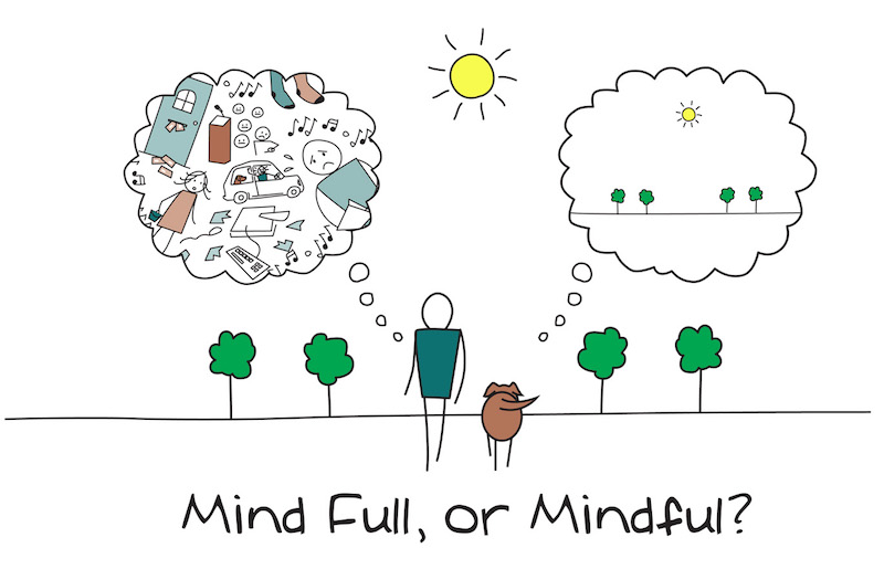 Mind full vs. Mindful - the latter is much harder on modafinil