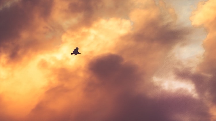 10 Tips for INTJ Personality Types