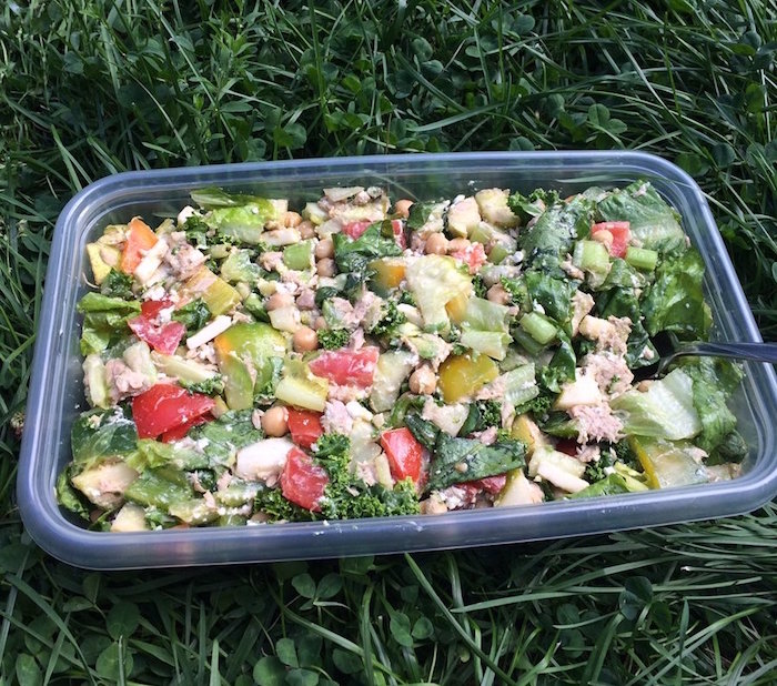 Salad with vegetables, chickpeas, fruit, tuna, cheese in a tupperware container on the grass in the park