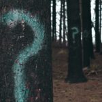 Trees in a forest with turquoise question marks spray-painted on them