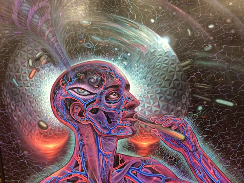 Alex Grey Bicycle Day art collaboration