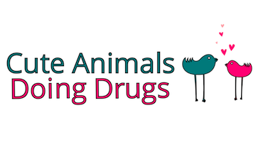 Something a Little Different (Cute Animals Doing Drugs)